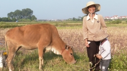 trao sinh ke thiet thuc cho ho kho khan o phu xuyen