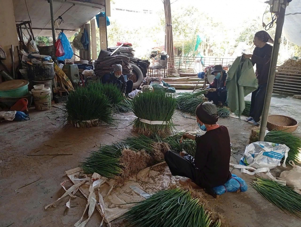 Nhờ nguồn vốn vay, chị Nguyễn Thị Loan mở cơ sở thu gom hành, tỏi, rau củ quả ngay tại địa phương mang đi bán cho các nhà hàng đem lại thu nhập cao. Ảnh: Ngọc Dung Nhờ nguồn vốn vay, chị Nguyễn Thị Loan mở cơ sở thu gom hành, tỏi, rau củ quả ngay tại địa phương mang đi bán cho các nhà hàng đem lại thu nhập cao. Ảnh: Ngọc Dung