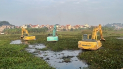 day nhanh tien do cum cong nghiep lang nghe tan hoa