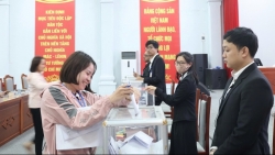 me linh thu hon 322 ty dong tu dau gia dat