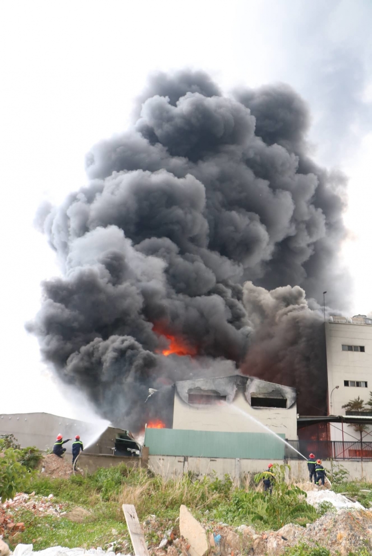 Video nhap 20190522171526