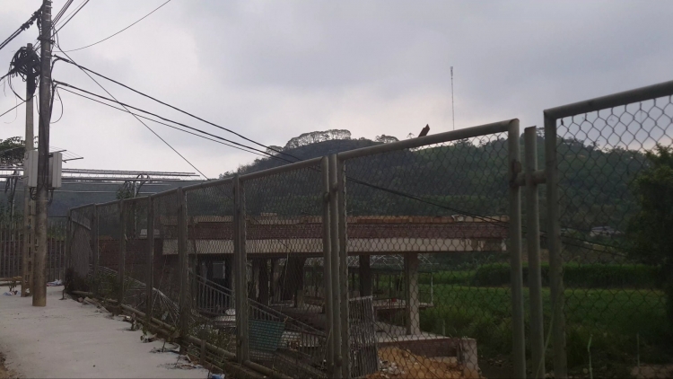 Nhà hàng 9999 lấn chiếm suối