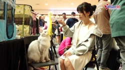 Video nhap 20241103172423