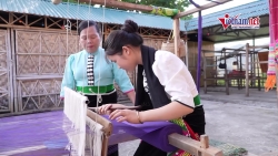 Video nhap 20241114101500