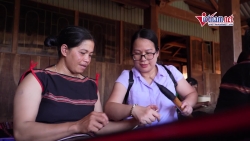 Video nhap 20241205182519