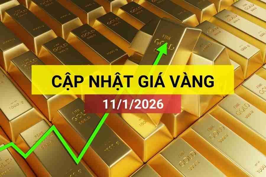 Bản tin giá vàng sáng 11/1/2026