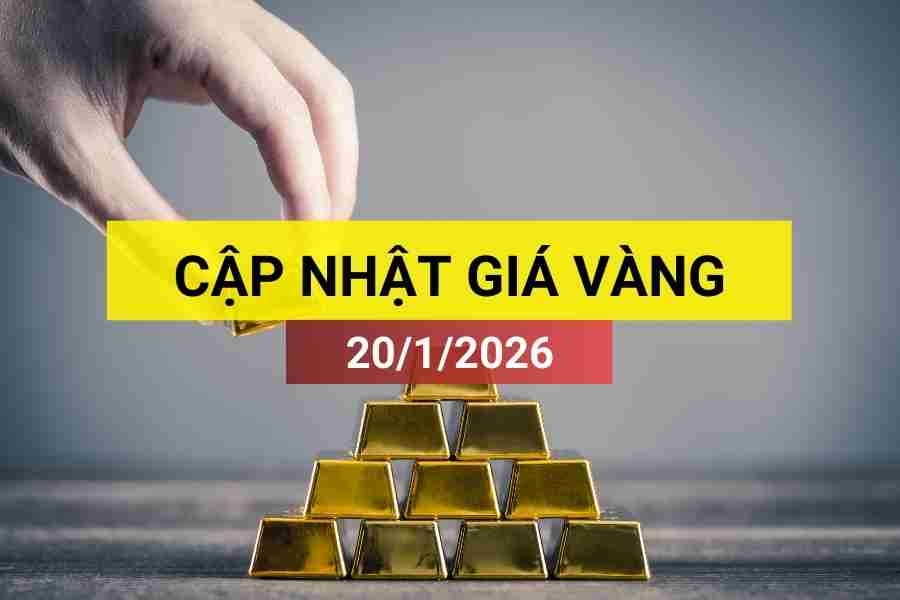 Bản tin giá vàng sáng 20/1/2026