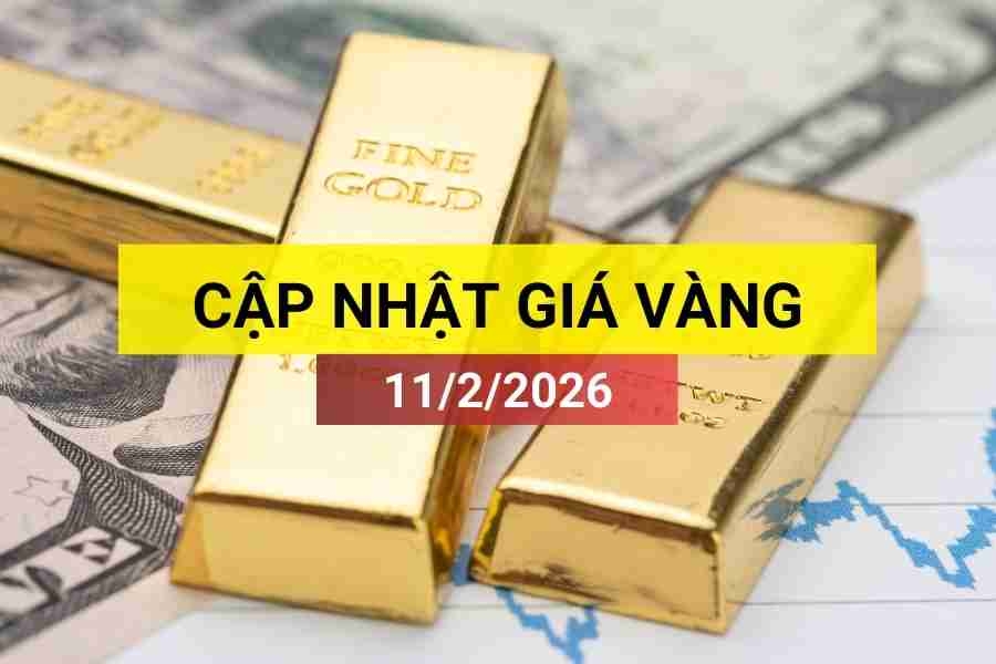 Bản tin giá vàng sáng 11/2/2026