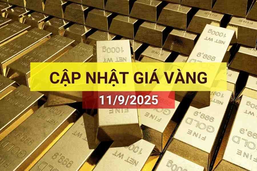 Giá vàng sáng 11/9/2025