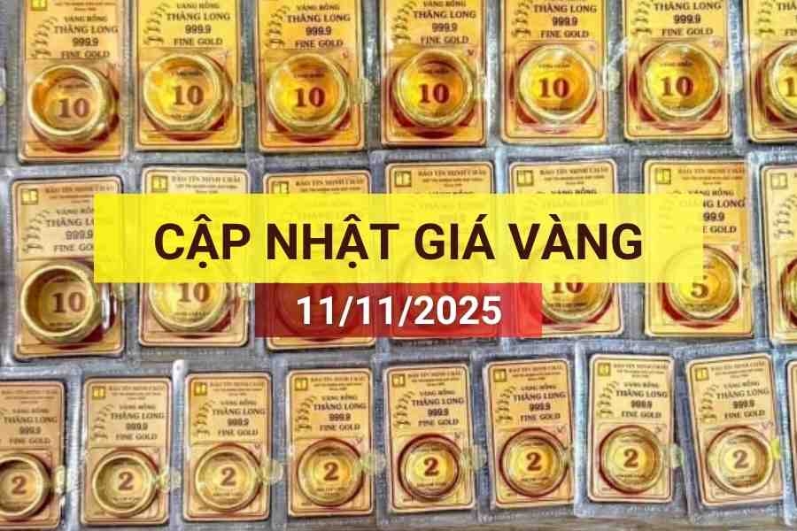 Bản tin giá vàng sáng 11/11/2025