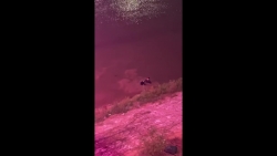 Cứu người nhảy cầu Á Lữ