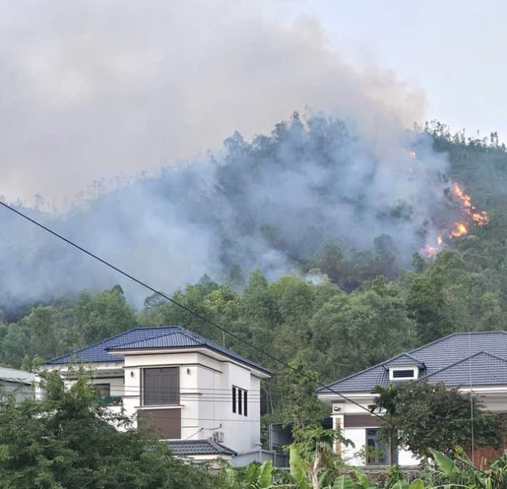Cháy rừng ở Bắc Giang