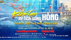 Video nhap 20260215174521