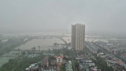 Video nhap 20240911124258