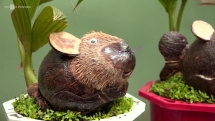 "Biến" dừa khô thành bonsai hình chuột