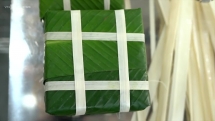 Gói bánh chưng bằng máy