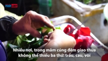 Trầu têm cánh phượng - nét đặc trưng văn hóa Hà Nội