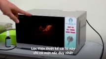 Khử trùng khẩu trang đã qua sử dụng bằng lò vi sóng tại nhà