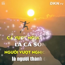 Cá vượt ngược dòng là cá sống, người vượt nghịch cảnh người thành công