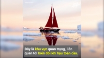 Greenland - Đảo băng định đoạt số phận toàn cầu