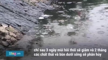 Giới khoa học nghi ngờ công nghệ làm sạch sông Tô Lịch của Nhật Bản