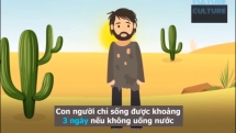 Mẹo tìm nguồn nước khi bị lạc giữa sa mạc