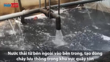 Trình diễn phân hủy bùn hữu cơ tại sông Tô Lịch