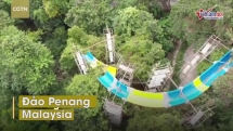 Khám phá ống trượt nước đi xuyên rừng dài nhất thế giới ở Malaysia