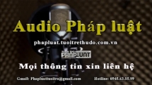 Audio Pháp luật ngày 30/7: Chân tướng kẻ nghi ngáo đá bắn công an