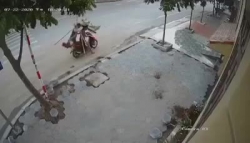 Người đàn ông ngang nhiên trộm cây giữa ban ngày