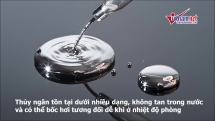 Cách xử lý nhanh khi bị nhiễm độc thủy ngân