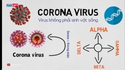 Virus SARS-CoV-2 phát tán như thế nào?