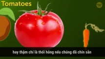 10 cách bảo quản thực phẩm nhanh gọn có thể bạn chưa biết