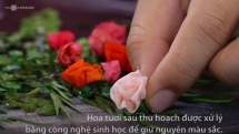 Tranh 3D ghép từ hoa tươi