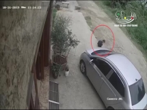 Ngồi chơi trước mũi ô tô, bé trai lọt gầm xe ngay sau đó