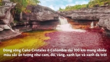 Dòng sông dài 100 km, nhiều màu sắc ở Colombia